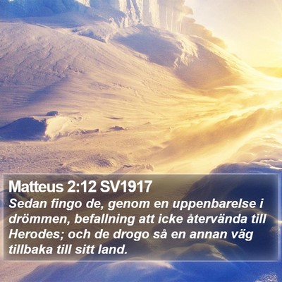 Matteus 2:12 SV1917 Bible Verse Image