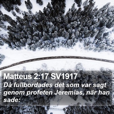 Matteus 2:17 SV1917 Bible Verse Image