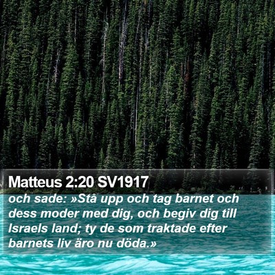 Matteus 2:20 SV1917 Bible Verse Image