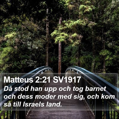Matteus 2:21 SV1917 Bible Verse Image