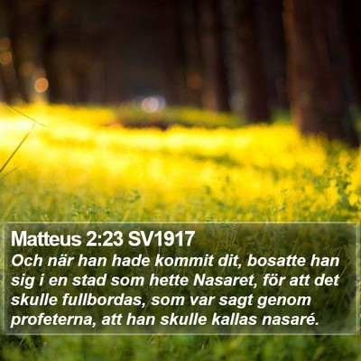 Matteus 2:23 SV1917 Bible Verse Image