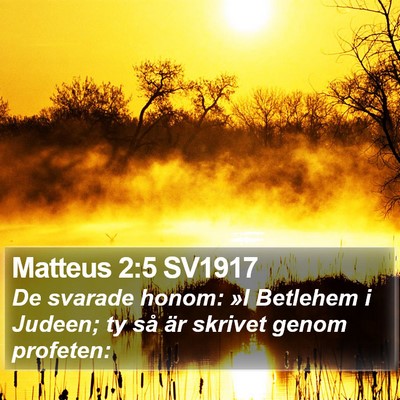 Matteus 2:5 SV1917 Bible Verse Image