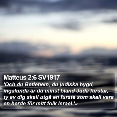 Matteus 2:6 SV1917 Bible Verse Image