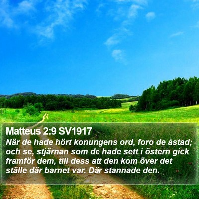 Matteus 2:9 SV1917 Bible Verse Image