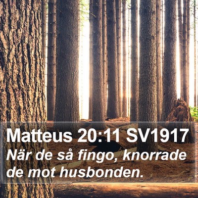 Matteus 20:11 SV1917 Bible Verse Image
