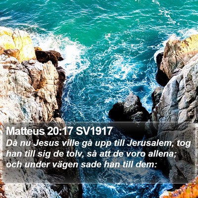 Matteus 20:17 SV1917 Bible Verse Image
