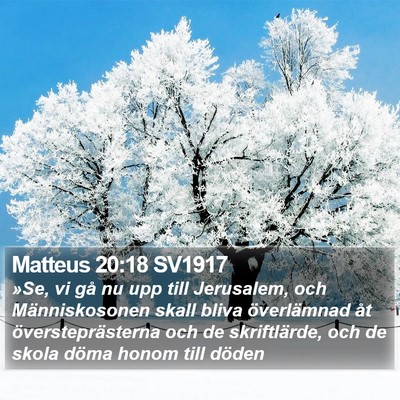 Matteus 20:18 SV1917 Bible Verse Image