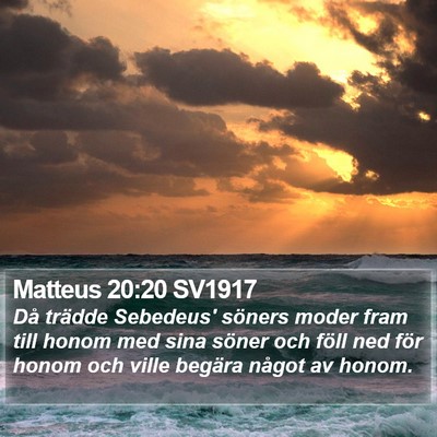 Matteus 20:20 SV1917 Bible Verse Image