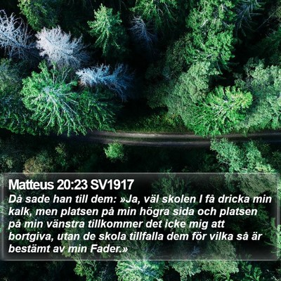 Matteus 20:23 SV1917 Bible Verse Image