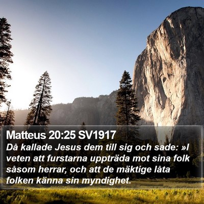 Matteus 20:25 SV1917 Bible Verse Image