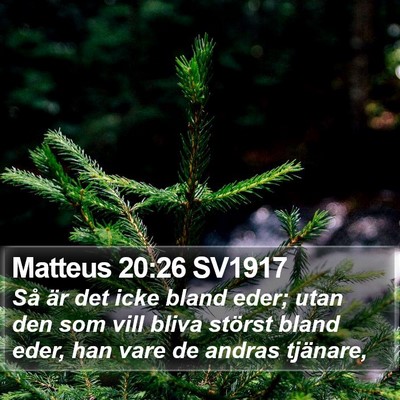 Matteus 20:26 SV1917 Bible Verse Image