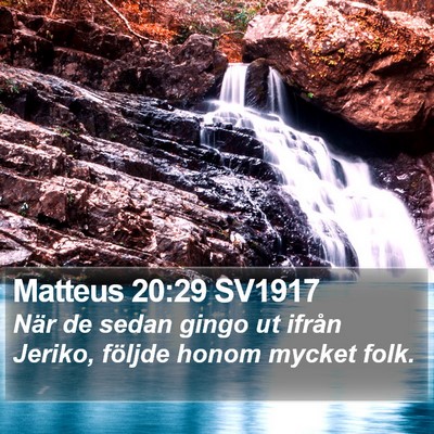 Matteus 20:29 SV1917 Bible Verse Image