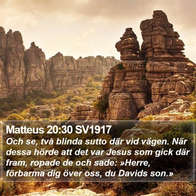 Matteus 20:30 SV1917 Bible Verse Image