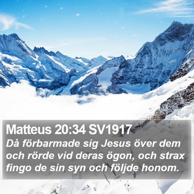 Matteus 20:34 SV1917 Bible Verse Image
