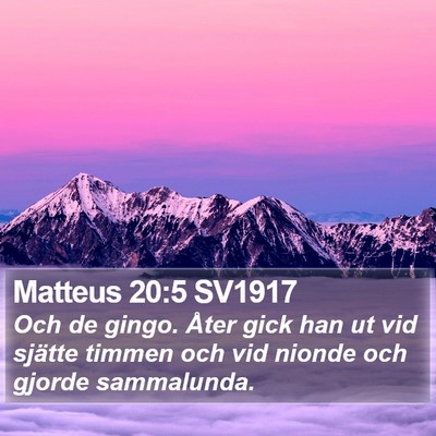 Matteus 20:5 SV1917 Bible Verse Image