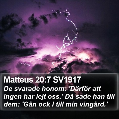 Matteus 20:7 SV1917 Bible Verse Image