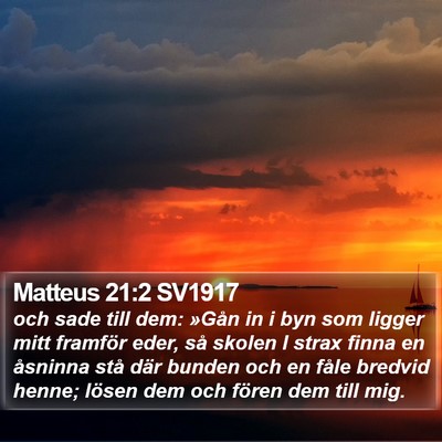 Matteus 21:2 SV1917 Bible Verse Image
