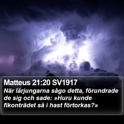 Matteus 21:20 SV1917 Bible Verse Image