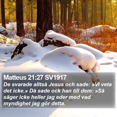 Matteus 21:27 SV1917 Bible Verse Image