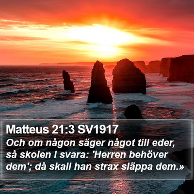 Matteus 21:3 SV1917 Bible Verse Image