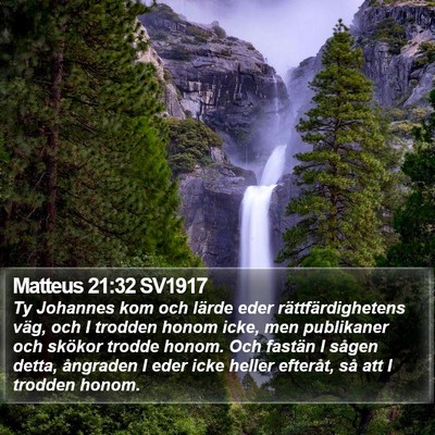 Matteus 21:32 SV1917 Bible Verse Image