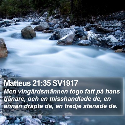 Matteus 21:35 SV1917 Bible Verse Image