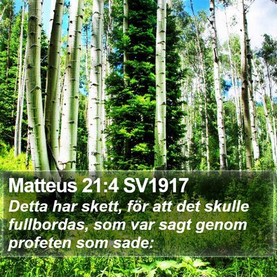 Matteus 21:4 SV1917 Bible Verse Image