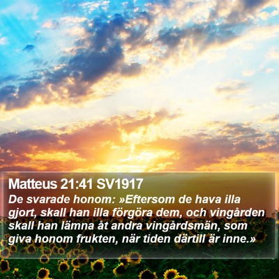 Matteus 21:41 SV1917 Bible Verse Image