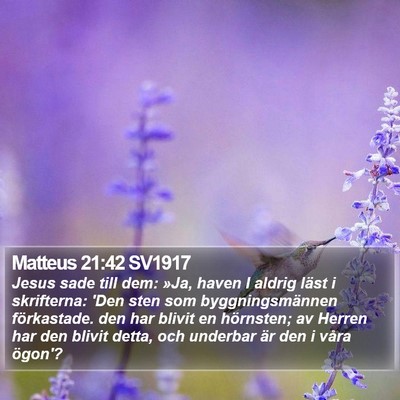 Matteus 21:42 SV1917 Bible Verse Image