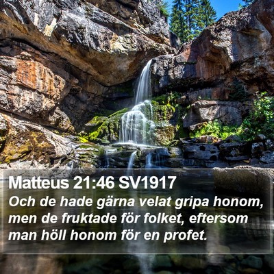 Matteus 21:46 SV1917 Bible Verse Image