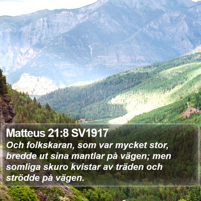 Matteus 21:8 SV1917 Bible Verse Image