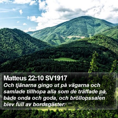 Matteus 22:10 SV1917 Bible Verse Image
