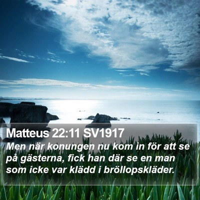 Matteus 22:11 SV1917 Bible Verse Image