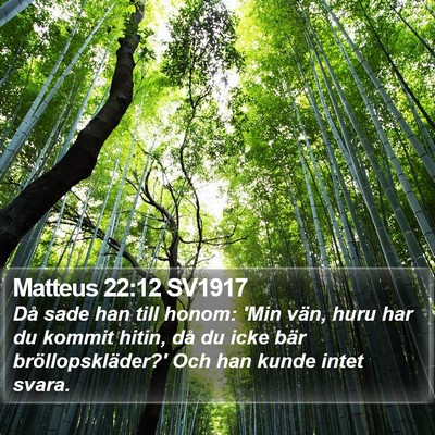 Matteus 22:12 SV1917 Bible Verse Image