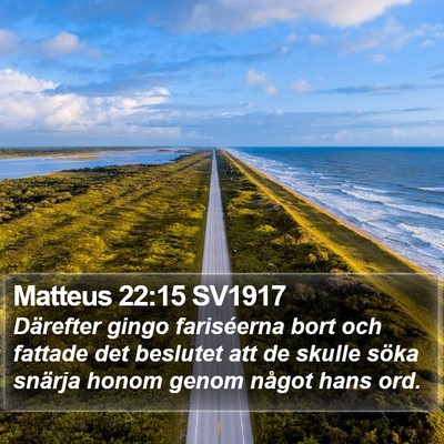 Matteus 22:15 SV1917 Bible Verse Image