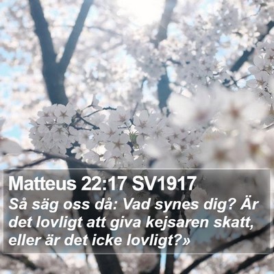 Matteus 22:17 SV1917 Bible Verse Image