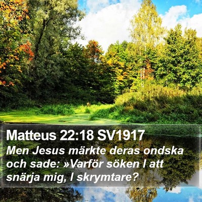 Matteus 22:18 SV1917 Bible Verse Image