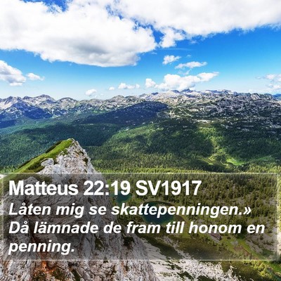 Matteus 22:19 SV1917 Bible Verse Image