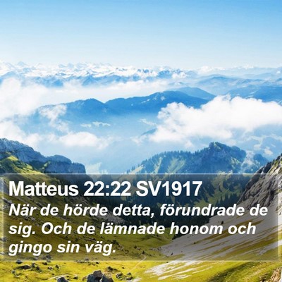 Matteus 22:22 SV1917 Bible Verse Image