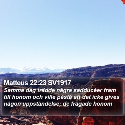 Matteus 22:23 SV1917 Bible Verse Image