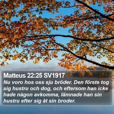 Matteus 22:25 SV1917 Bible Verse Image