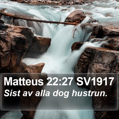 Matteus 22:27 SV1917 Bible Verse Image