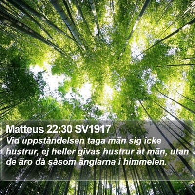 Matteus 22:30 SV1917 Bible Verse Image