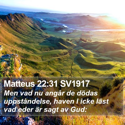 Matteus 22:31 SV1917 Bible Verse Image