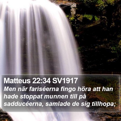 Matteus 22:34 SV1917 Bible Verse Image