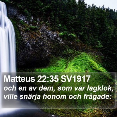 Matteus 22:35 SV1917 Bible Verse Image
