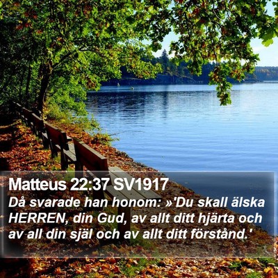 Matteus 22:37 SV1917 Bible Verse Image