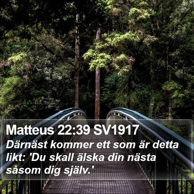 Matteus 22:39 SV1917 Bible Verse Image