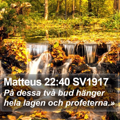 Matteus 22:40 SV1917 Bible Verse Image