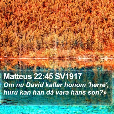 Matteus 22:45 SV1917 Bible Verse Image